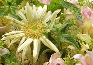 Music & Flower Vol.  7 - ひでり -　ひでりをめぐる夏の出来事。