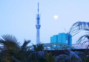 東東京の新絶景リバーサイドカフェ『シエロ イ リオ』 。