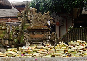 日本で失われた信心と自然がある神々の島、バリ島の満月祭へ。