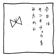 ヤングくん  モンキチョウ