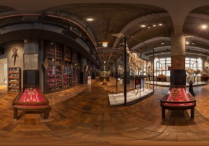 『インターメディアテク』に見る 21世紀のミュージアムの姿。