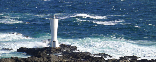 白い灯台と、白い水仙。ミシュラン二つ星の城ヶ島まで。