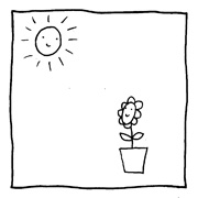 ヤングくん  向日性