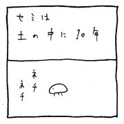 ヤングくん  10年1週間1時間1秒