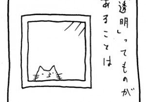 ヤングくん  透明
