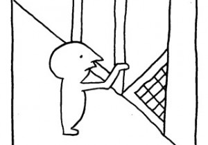 ヤングくん  網戸