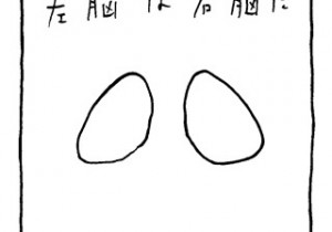 ヤングくん  どっちの脳か