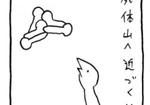 ヤングくん  山