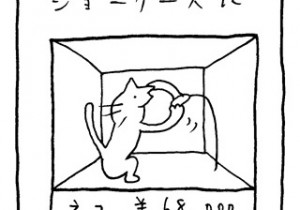 ヤングくん  ショーケース